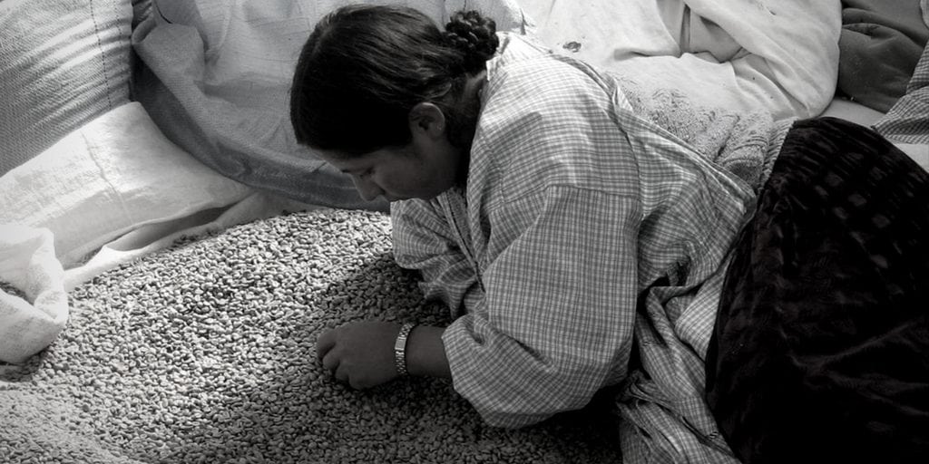 Where Does Coffee Originate From?